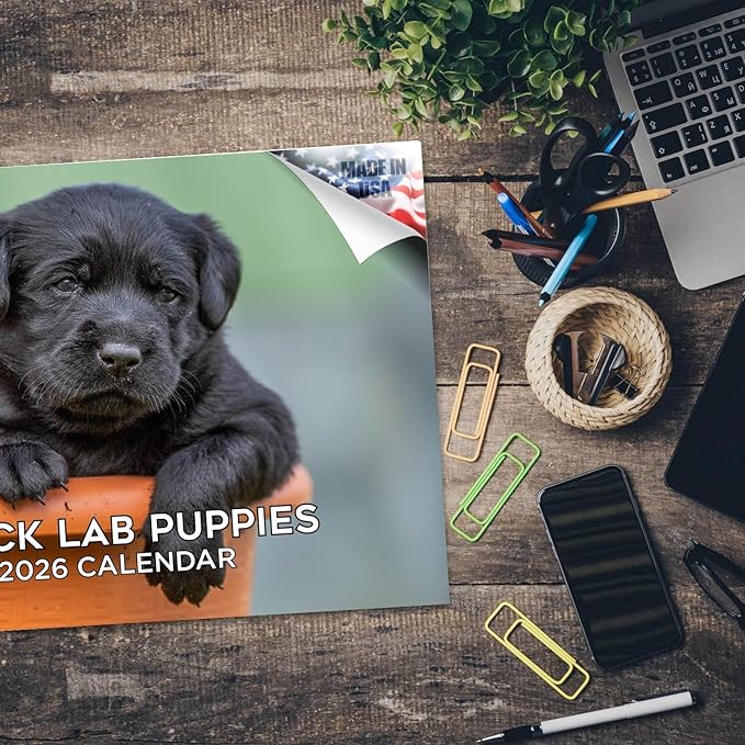 2025 2026 Labrador Pups Black Calendar - Dog Breed Monthly Wall Calendar - 12" x 18" Open - Thick No-Bleed Paper - Giftable - Academic Teacher's Planner Calendar Organizing & Planning - Made in USA