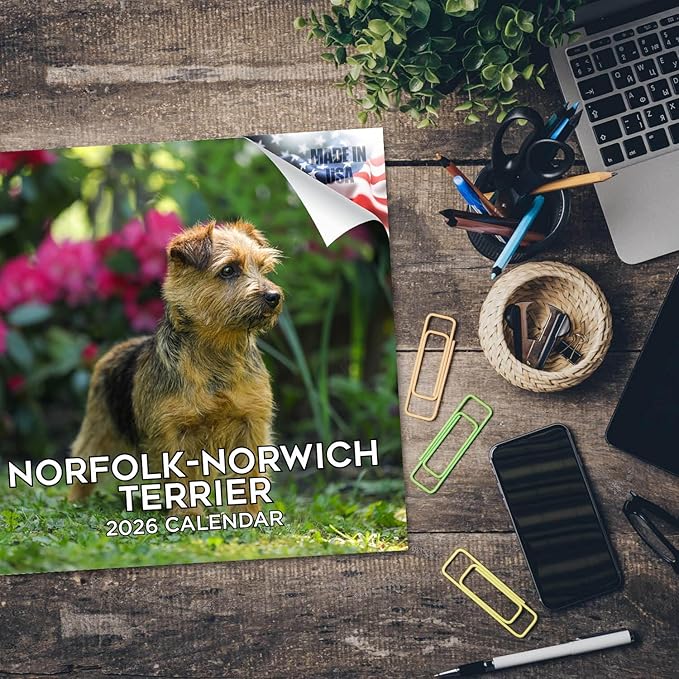 2025 2026 Norfolk/Norwich Calendar - Dog Breed Monthly Wall Calendar - 12" x 24" Open - Thick No-Bleed Paper - Giftable - Academic Teacher's Planner Calendar Organizing & Planning - Made in USA