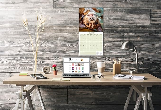 Basenji Calendar 2026 by MegaCalendars – Monthly Dog Breed Wall Calendar, Made in USA