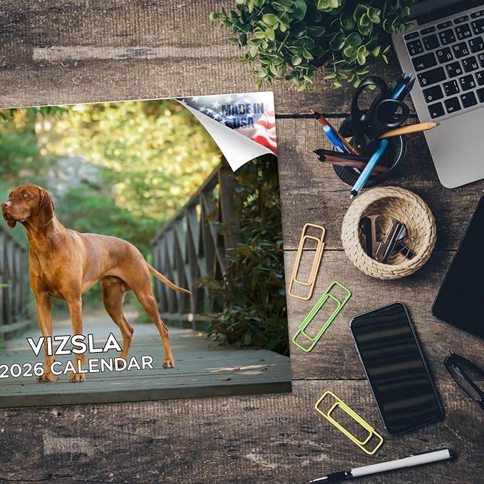 2025 2026 Vizsla Calendar - Dog Breed Monthly Wall Calendar - 12" x 18" Open - Thick No-Bleed Paper - Giftable - Academic Teacher's Planner Calendar Organizing & Planning - Made in USA