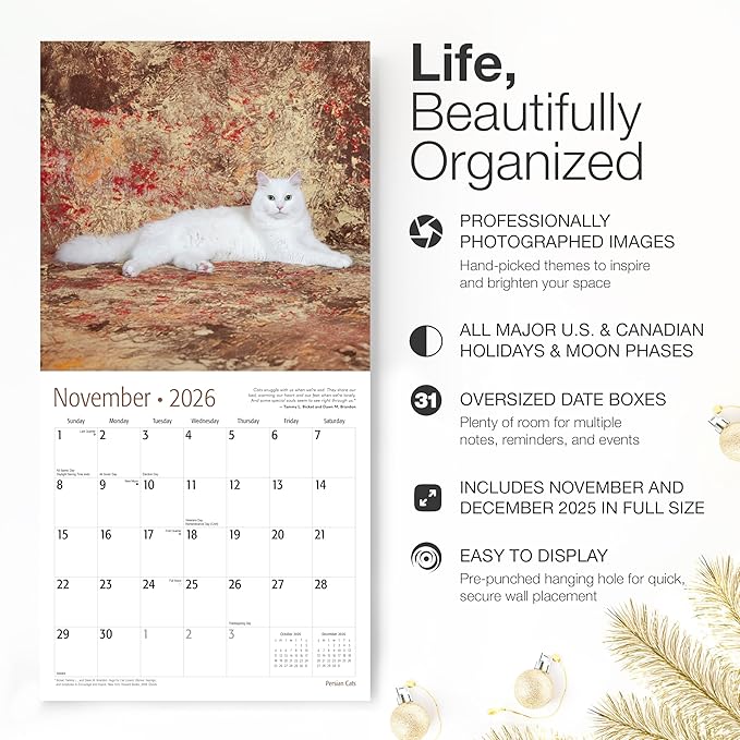 RED EMBER Persian Cats 2026 Wall Calendar 12 Month | 12" x 24" Open | Thick & Sturdy Paper | Giftable | Cute Kitten Cat Calendar 2026