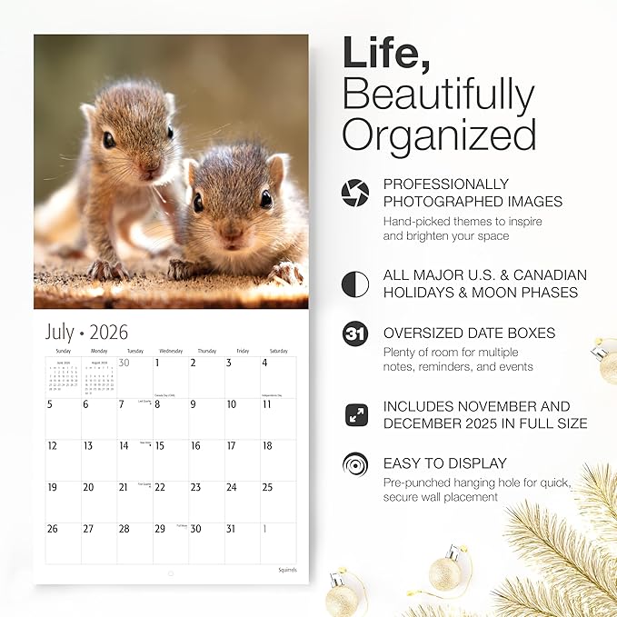 RED EMBER Select - Squirrels 2026 Wall Calendar 12 Month | 12" x 24" Open | Thick & Sturdy Paper | Giftable | Funny Animal Calendar 2026