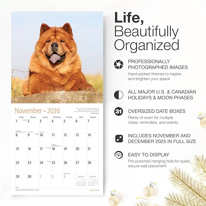 RED EMBER Chow Chows 2026 Wall Calendar 12 Month | 12" x 24" Open | Thick & Sturdy Paper |Giftable | Cute Puppy Dog Calendar 2026