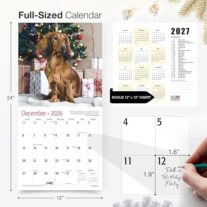 RED EMBER Select - Dachshunds 2026 Wall Calendar 12 Month | 12" x 24" Open | Thick & Sturdy Paper | Giftable | Cute Puppy Weiner Dog Calendar 2026