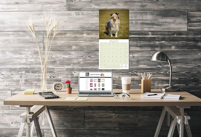 Shetland Sheepdog Calendar 2026 by MegaCalendars – Monthly Dog Breed Wall Calendar, Made in USA