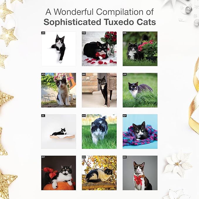 RED EMBER Tuxedo Cats 2026 Wall Calendar 12 Month | 12" x 24" Open | Thick & Sturdy Paper | Giftable | Cute Kitten Cat Calendar 2026