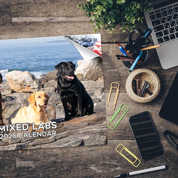 2025 2026 Labrador Mixed Calendar - Dog Breed Monthly Wall Calendar - 12" x 18" Open - Thick No-Bleed Paper - Giftable - Academic Teacher's Planner Calendar Organizing & Planning - Made in USA