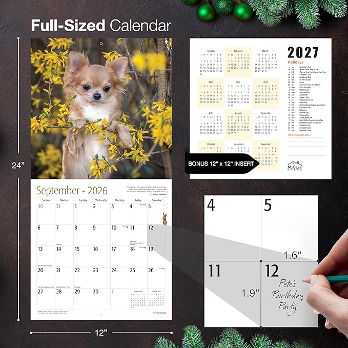 MICASA PRESS Chihuahuas 2026 Wall Calendar 12 Month | 12" x 24" Open | Thick & Sturdy Paper | Giftable | Cute Puppy Dog Calendar 2026