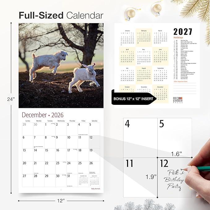 RED EMBER Select - Baby Animals 2026 Wall Calendar 12 Month | 12” x 24” Open | Thick & Sturdy Paper | Giftable | Wild Cute Kids Baby Animals Calendar 2026