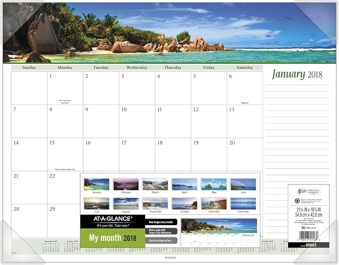 AT-A-GLANCE Monthly Desk Pad Calendar, January 2018 - December 2018, 22" x 17", Panoramic, Seascape (89803)