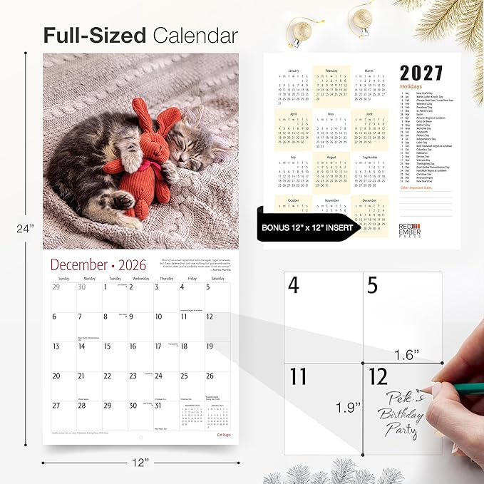 RED EMBER Select - Cat Naps 2026 Wall Calendar 12 Month | 12" x 24" Open | Thick & Sturdy Paper | Giftable | Cute Funny Kitten Cat Calendar 2026