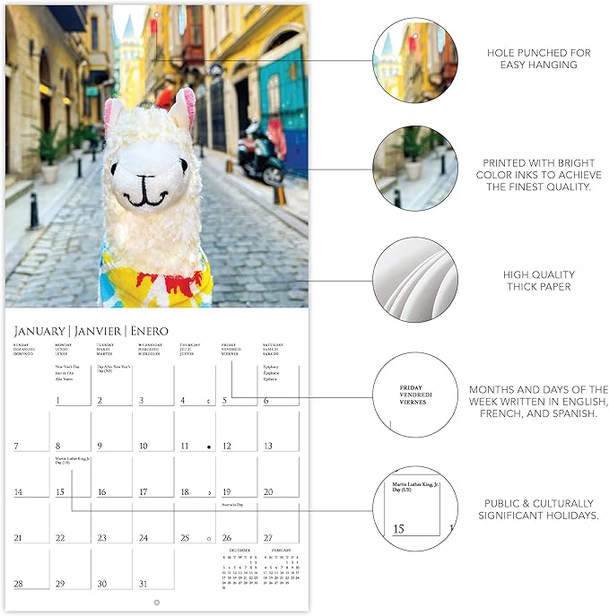 Graphique 2024 Llama with No Drama Mini Wall Calendar | 7” x 7” | Thick Paper | Home & Office Organizer | Large Monthly Grid | 3 Languages & Marked Holidays | 4 Month Preview Page for 2025