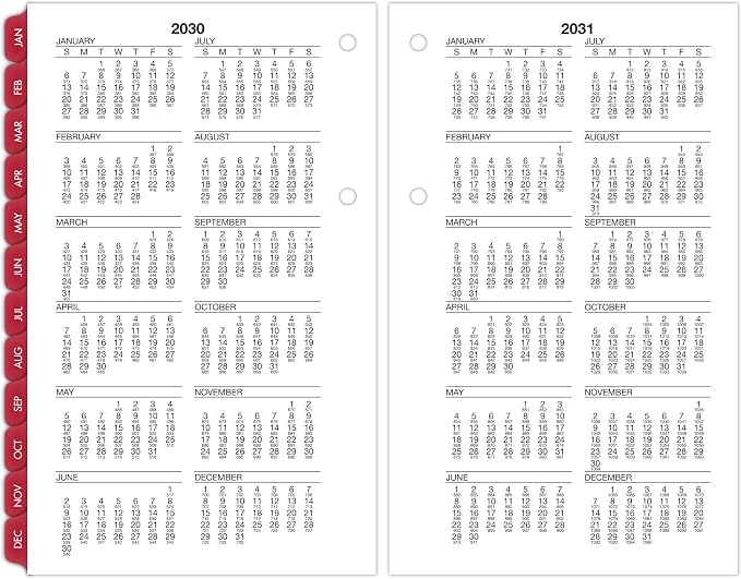 AT-A-GLANCE 2027 Desk Calendar Refill, Daily Desk Pad Refill, 4.5" x 7.5", Loose-Leaf, Burkhart's Day Counter (E7125027)