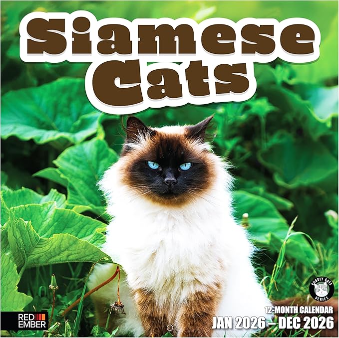 RED EMBER Siamese Cats 2026 Wall Calendar 12 Month | 12" x 24" Open | Thick & Sturdy Paper | Giftable | Cute Kitten Cat Calendar 2026