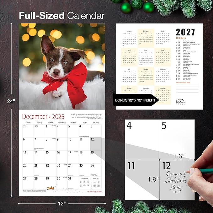 MICASA PRESS Border Collie Puppies 2026 Wall Calendar 12 Month | Thick & Sturdy Paper | Giftable | Cute Puppy Dog Calendar 2026