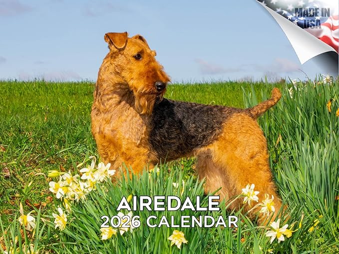 2025 2026 Airedale Calendar - Dog Breed Monthly Wall Calendar - 12" x 18" Open - Thick No-Bleed Paper - Giftable - Academic Teacher's Planner Calendar Organizing & Planning - Made in USA