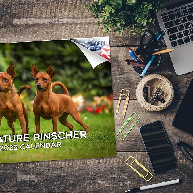 2025 2026 Miniature Pinscher Calendar - Dog Breed Monthly Wall Calendar - 12" x 18" Open - Thick No-Bleed Paper - Giftable - Academic Teacher's Planner Calendar Organizing & Planning - Made in USA