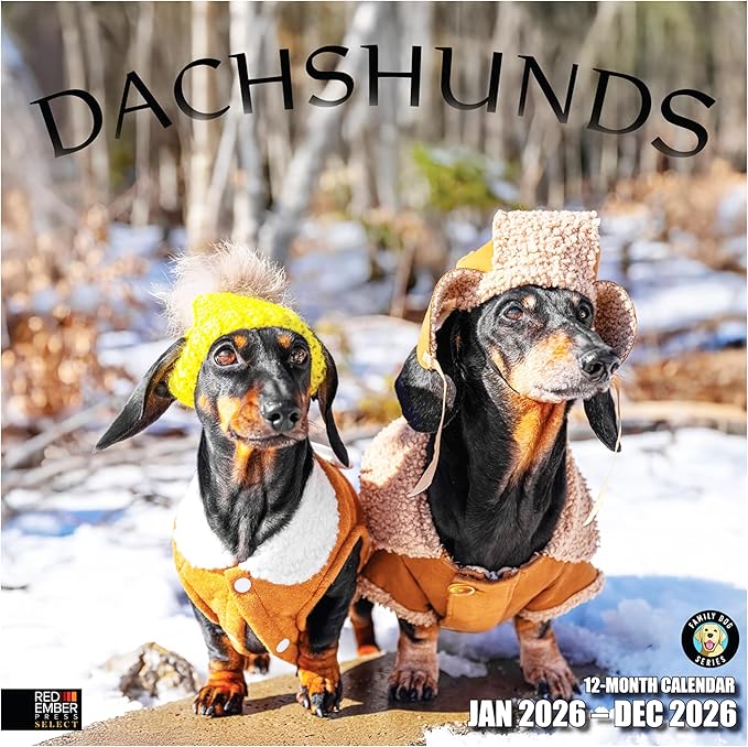 RED EMBER Select - Dachshunds 2026 Wall Calendar 12 Month | 12" x 24" Open | Thick & Sturdy Paper | Giftable | Cute Puppy Weiner Dog Calendar 2026