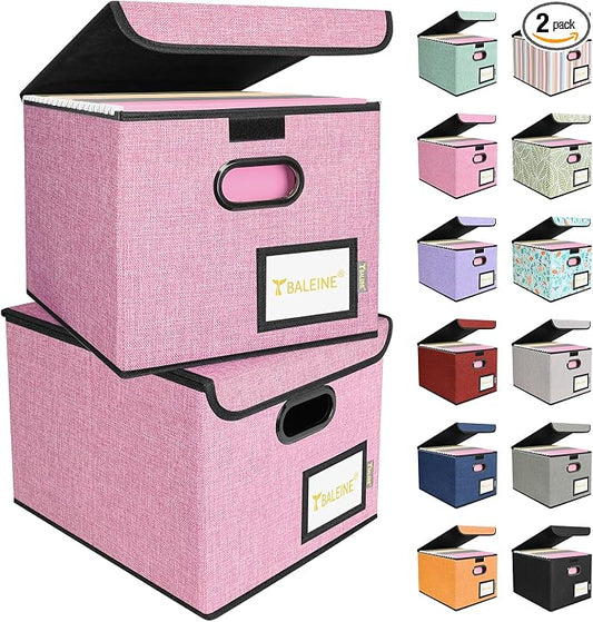 BALEINE File Organizer Box with Lid, Collapsible File Folder Organizer with Plastic Slide, Hanging File Folder Box for Office Document Storage (2 Pack, Pink)