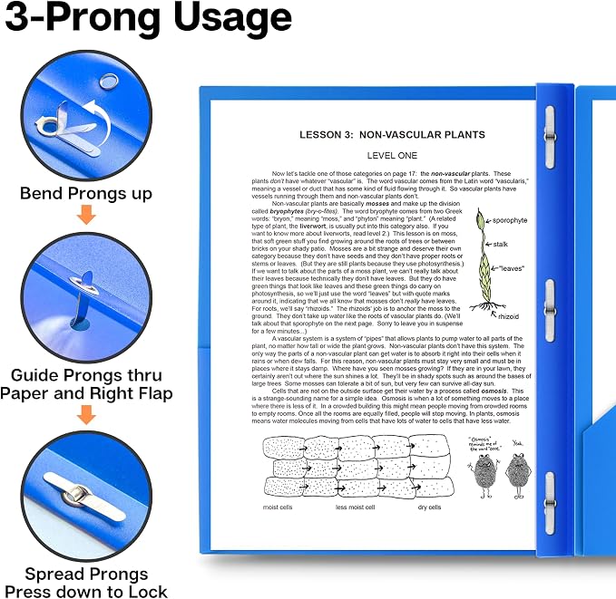 Dunwell Plastic Folders with 3 Prongs, (12 Pack, Blue), 2-Pocket Folders with Fasteners, Durable Acid-Free Poly for Long Term Use, Labels Included