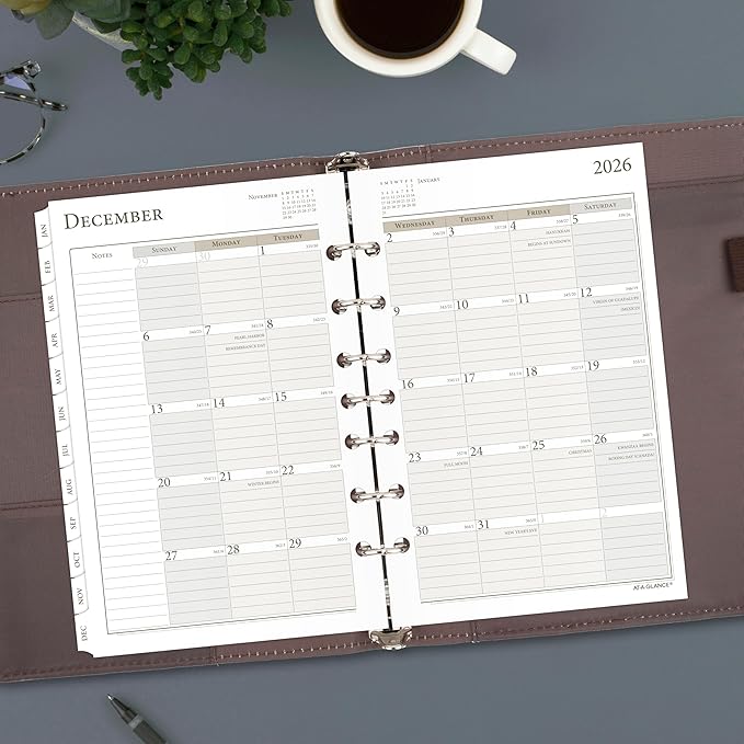 AT-A-GLANCE 2026 Planner, Daily & Monthly, 5-1/2" x 8-1/2", Desk Size 4, Two Page Per Day Refill, Loose-Leaf (481-225A-26)