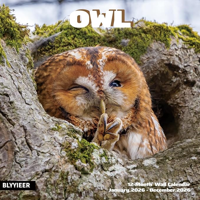2026 Wall Calendar,Owl Calendar 2026,OWL Monthly Wall Calendar, 12" x 24" Open,Family Planner Calendar, Home & Office Organizer,Hangable