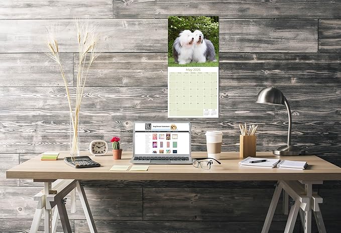 Old English Sheepdog Calendar 2026 by MegaCalendars – Monthly Dog Breed Wall Calendar, Made in USA