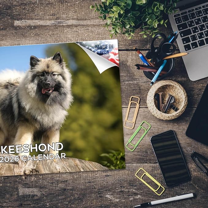 2025 2026 Keeshond Calendar - Dog Breed Monthly Wall Calendar - 12" x 18" Open - Thick No-Bleed Paper - Giftable - Academic Teacher's Planner Calendar Organizing & Planning - Made in USA