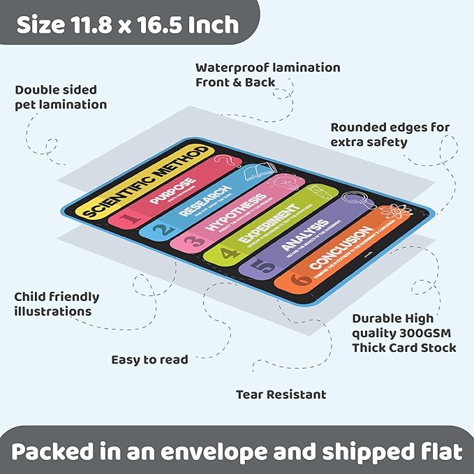 jackinthebox 12 Science Posters for Classroom - 12 x 17 inches Laminated, Middle School Science Posters, Posters for High School, Science Classroom Decor, Science Bulletin Board Sets for Kids.