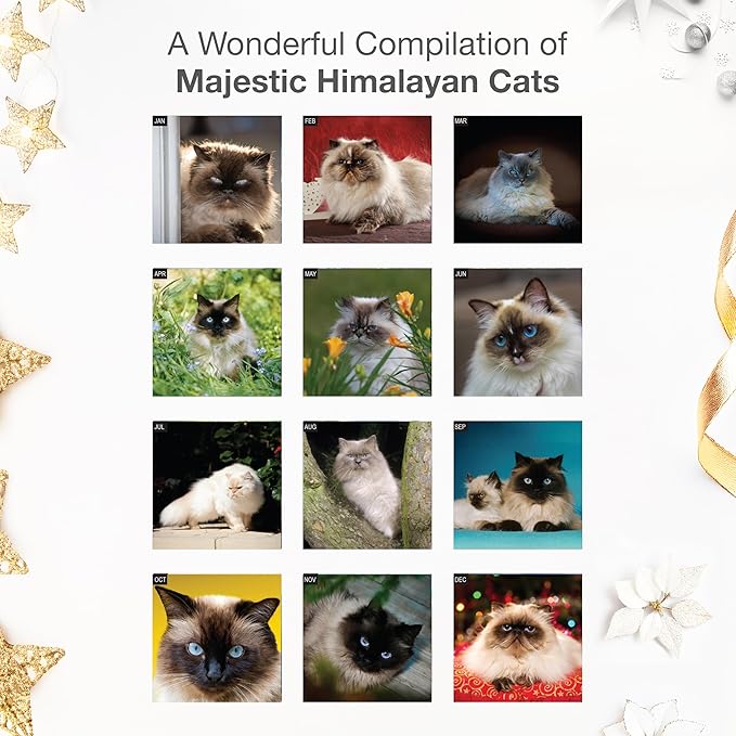 RED EMBER Himalayan Cats 2026 Wall Calendar 12 Month | 12" x 24" Open | Thick & Sturdy Paper | Giftable | Cute Kitten Cat Calendar 2026
