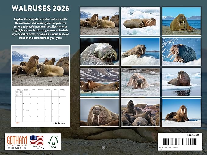 Walrus Calendar 2026 Monthly Wall Calender 12 Month | American Made In The USA