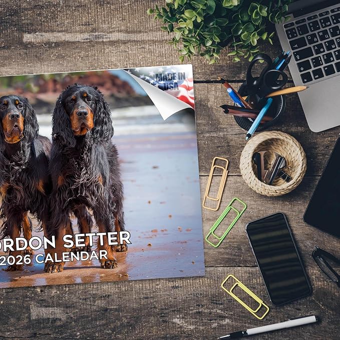 2025 2026 Gordon Setter Calendar - Dog Breed Monthly Wall Calendar - 12" x 18" Open - Thick No-Bleed Paper - Giftable - Academic Teacher's Planner Calendar Organizing & Planning - Made in USA
