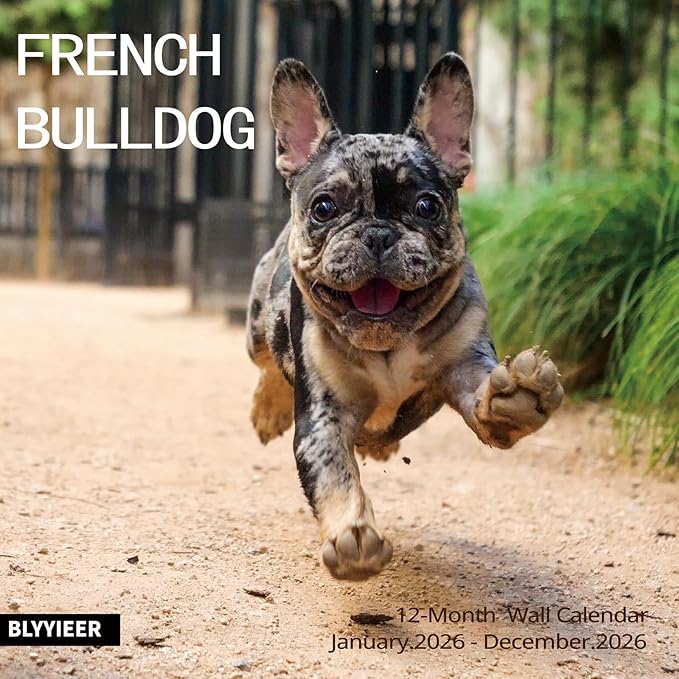 2026 Wall Calendar,French Bulldog Wall Calendar, 12" x 24" Open,Family Planner Calendar Organizer with French Bulldog Images, for Dogs Lovers