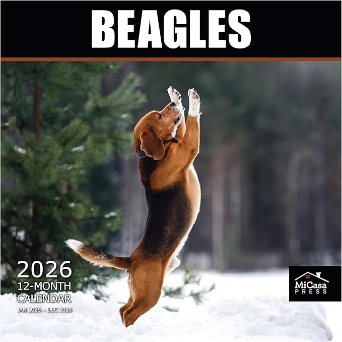 MICASA PRESS Beagles 2026 Wall Calendar 12 Month | 12" x 24" Open | Thick & Sturdy Paper | Giftable | Cute Puppy Dog Calendar 2026