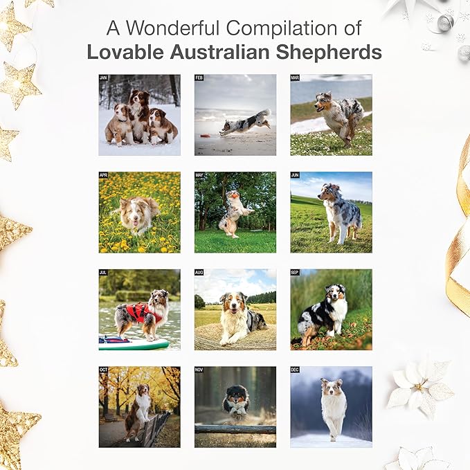 RED EMBER Australian Shepherds Aussies 2026 Wall Calendar 12 Month | 12" x 24" Open | Thick & Sturdy Paper | Giftable | Cute Puppy Dog Calendar 2026