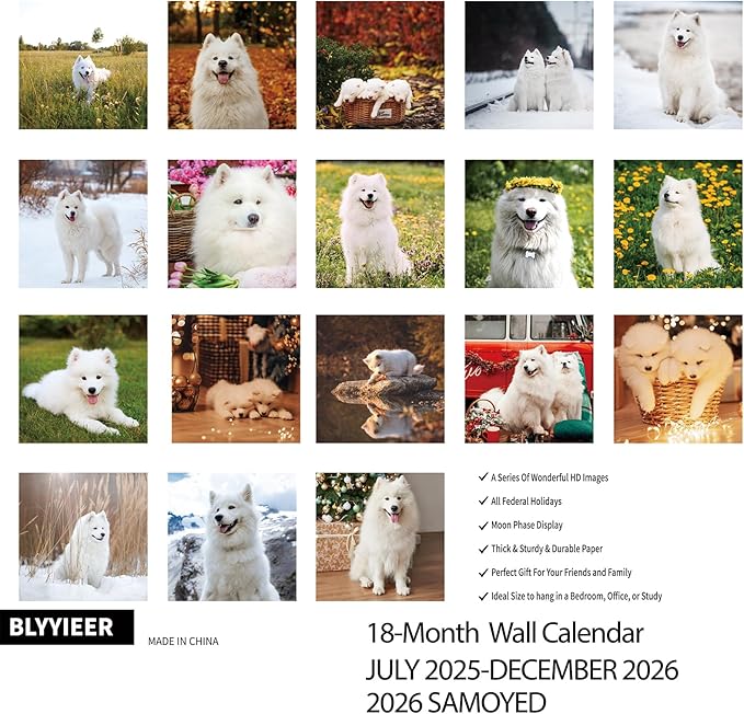 2025-2026 Wall Calendar,Samoyed Wall Calendar, 12" x 24" Open,Family Planner Calendar Organizer with Samoyed Images, for Dogs Lovers
