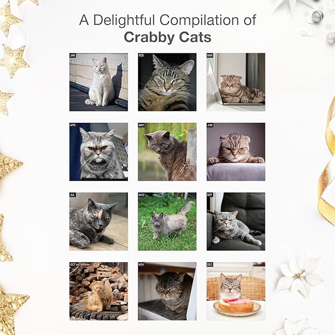 RED EMBER Crabby Cats 2026 Wall Calendar 12 Month | 12" x 24" Open | Thick & Sturdy Paper | Giftable | Funny Kitten Cat Calendar 2026