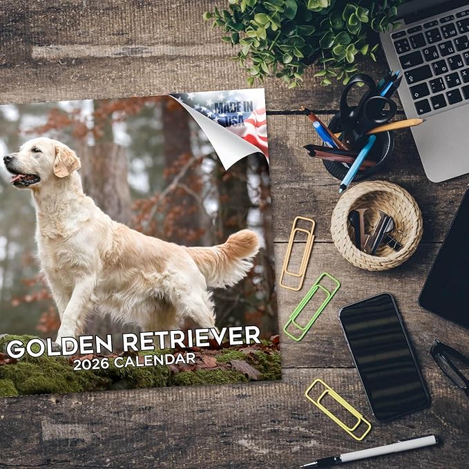 Golden Retriever Calendar 2026 – 16-Month Dog Breed Wall Calendar by MegaCalendars – Large Daily Blocks, Thick No-Bleed Paper, Made in USA