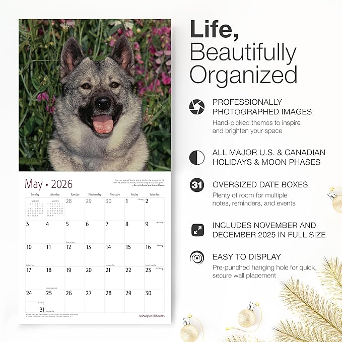 RED EMBER Norwegian Elkhounds 2026 Wall Calendar 12 Month | 12" x 24" Open | Thick & Sturdy Paper | Giftable | Cute Puppy Dog Calendar 2026