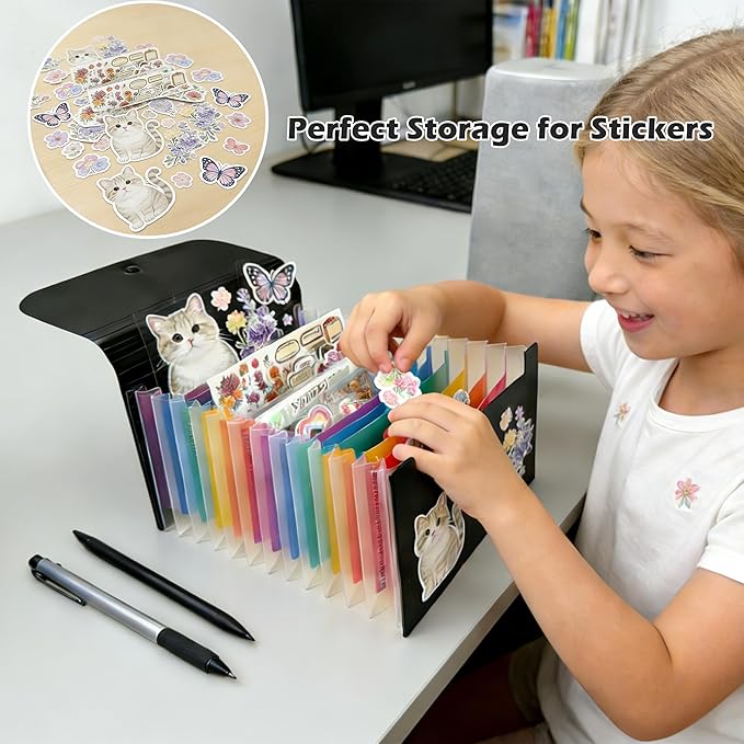 3x5 Index Card Holder, Flashcard Organizers, 13 Pockets Small Expanding File Folder for Notecard Check Sticker Coupon Organizer（2 PCS,Black Rainbow）