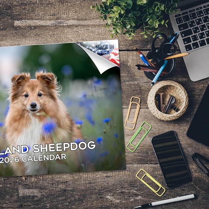 2025 2026 Shetland Sheepdog Calendar - Dog Breed Monthly Wall Calendar - 12" x 18" Open - Thick No-Bleed Paper - Giftable - Academic Teacher's Planner Calendar Organizing & Planning - Made in USA