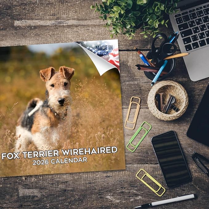 Fox Terrier Wirehaired Calendar 2026 by MegaCalendars – Monthly Dog Breed Wall Calendar, Made in USA