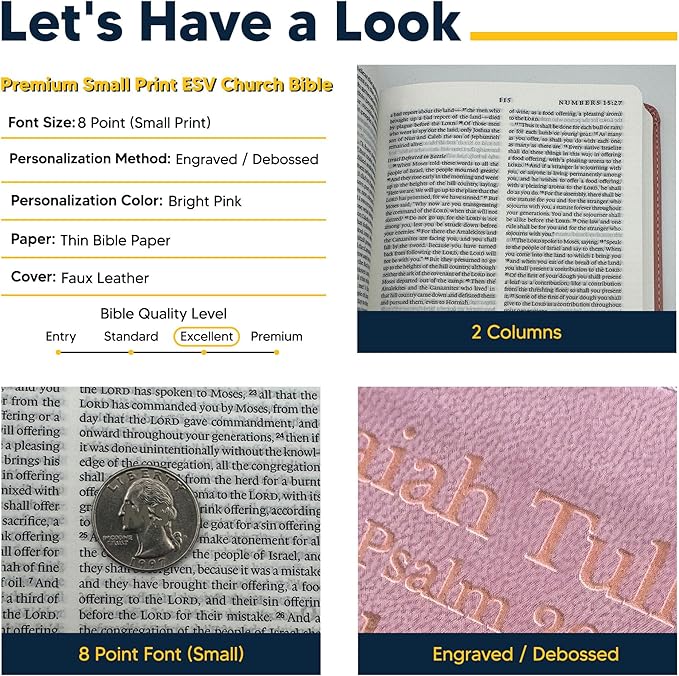 Custom Personalized Pink ESV Bible | Small Text | Blush Pink Engraved Name | Faux Leather Premium Church Bible | English Standard Version Translation with Lay Flat Design