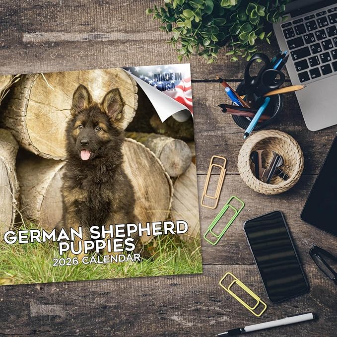 German Shepherd Pups Calendar 2026 by MegaCalendars – Monthly Dog Breed Wall Calendar, Made in USA