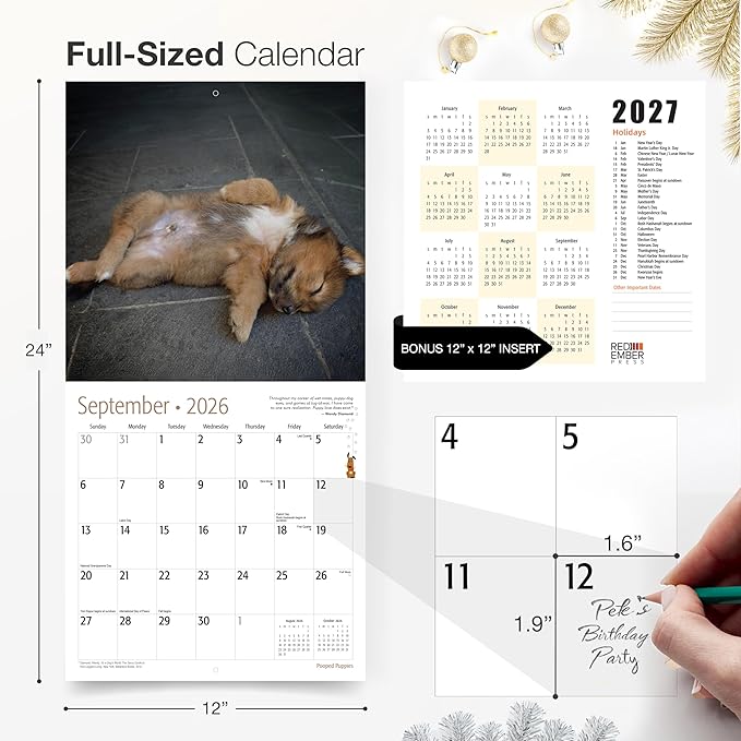 RED EMBER Pooped Puppies 2026 Wall Calendar 12 Month | 12" x 24" Open | Thick & Sturdy Paper | Giftable | Cute Funny Puppy Dog Calendar 2026