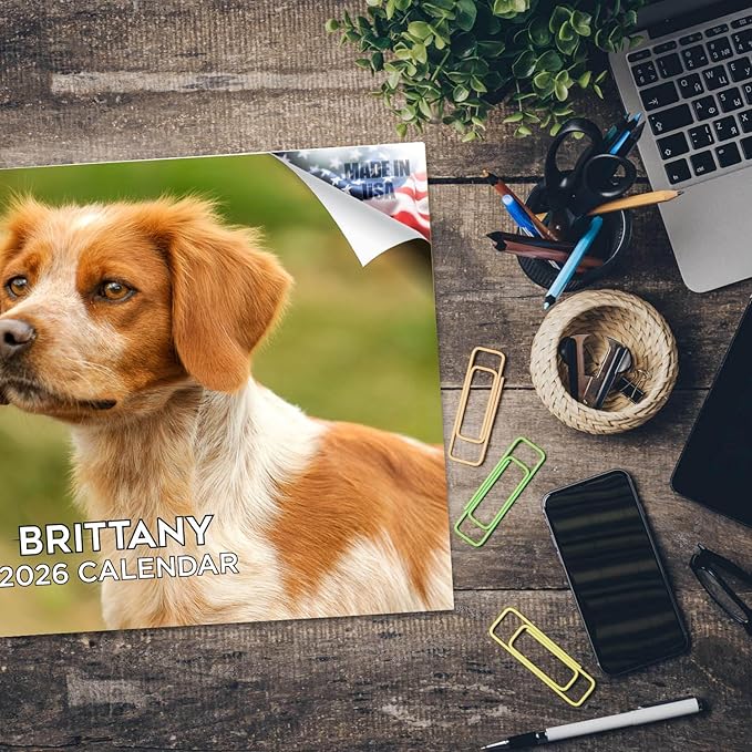 2025 2026 Brittany Calendar - Dog Breed Monthly Wall Calendar - 12" x 18" Open - Thick No-Bleed Paper - Giftable - Academic Teacher's Planner Calendar Organizing & Planning - Made in USA