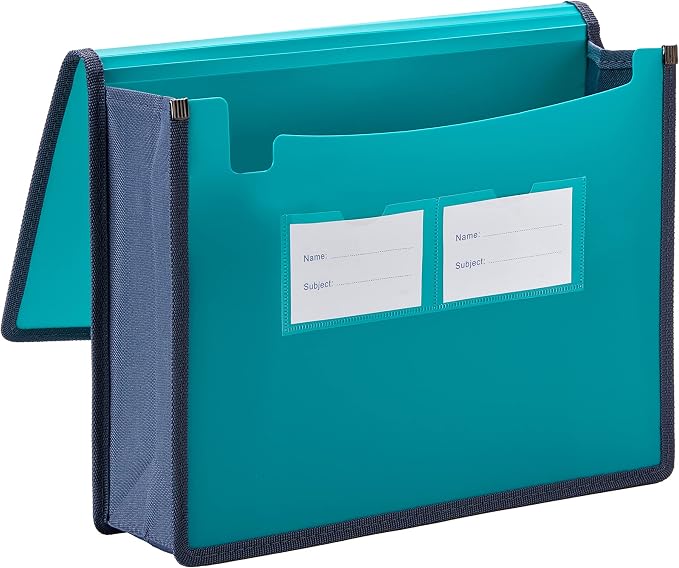 FANWU 4 Pack Plastic Expanding File Wallet Document Organizer with Elastic Cord & Button Closure, Letter Size, 3.5" Expansion, Poly A4 Expandable File Folder for School Office & Home Organization