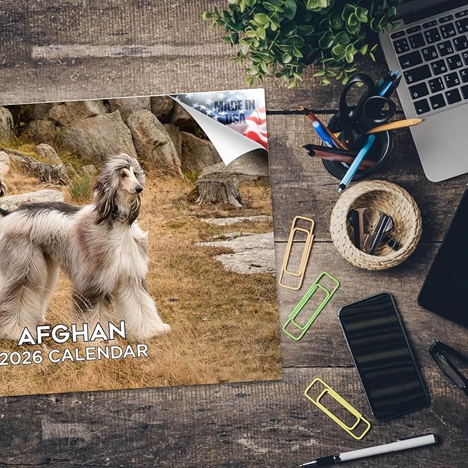 2025 2026 Afghan Hound Calendar - Dog Breed Monthly Wall Calendar - 12" x 18" Open - Thick No-Bleed Paper - Giftable - Academic Teacher's Planner Calendar Organizing & Planning - Made in USA