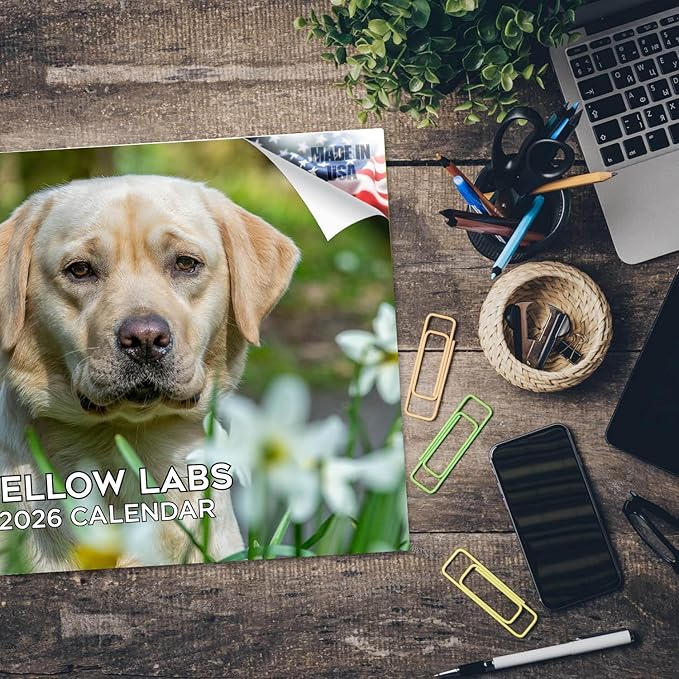 2025 2026 Labrador Yellow Calendar - Dog Breed Monthly Wall Calendar - 12" x 18" Open - Thick No-Bleed Paper - Giftable - Academic Teacher's Planner Calendar Organizing & Planning - Made in USA