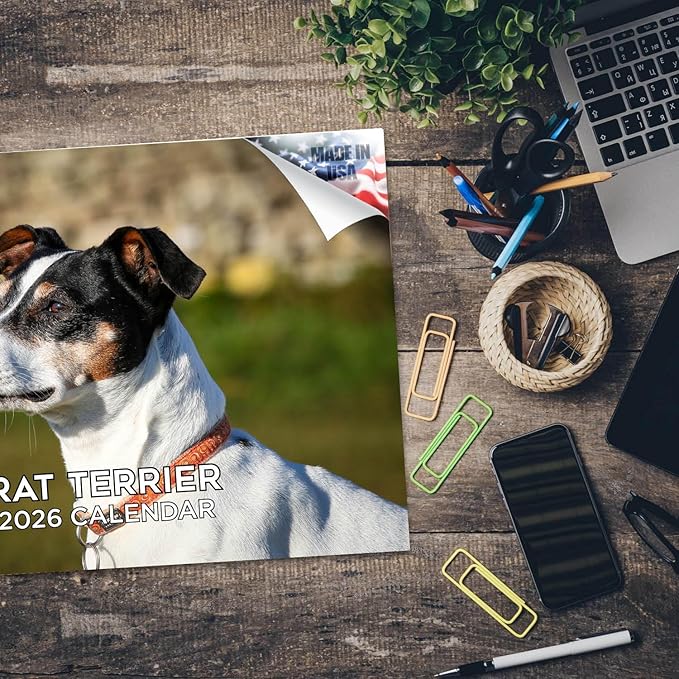 2025 2026 Rat Terrier Calendar - Dog Breed Monthly Wall Calendar - 12" x 18" Open - Thick No-Bleed Paper - Giftable - Academic Teacher's Planner Calendar Organizing & Planning - Made in USA